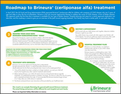 roadmap-to-brin-2